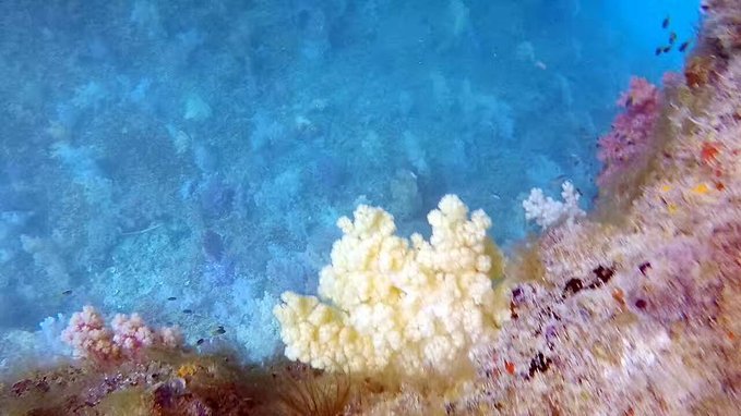 帕劳旅行的日记,帕劳的旅行日记