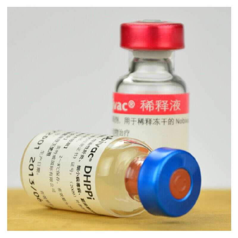 狗打了疫苗后发烧怎么办,狗注射过疫苗还会狂犬病么