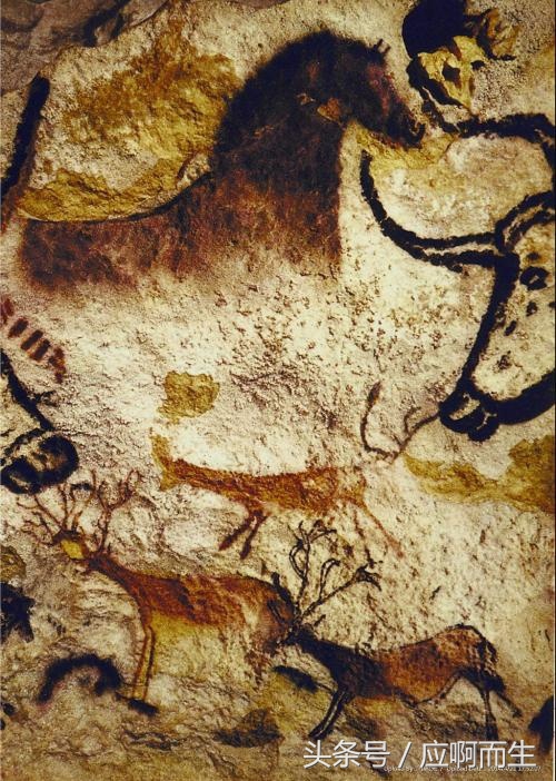 十二生肖怕人的生肖,蟑螂对应十二生肖什么动物