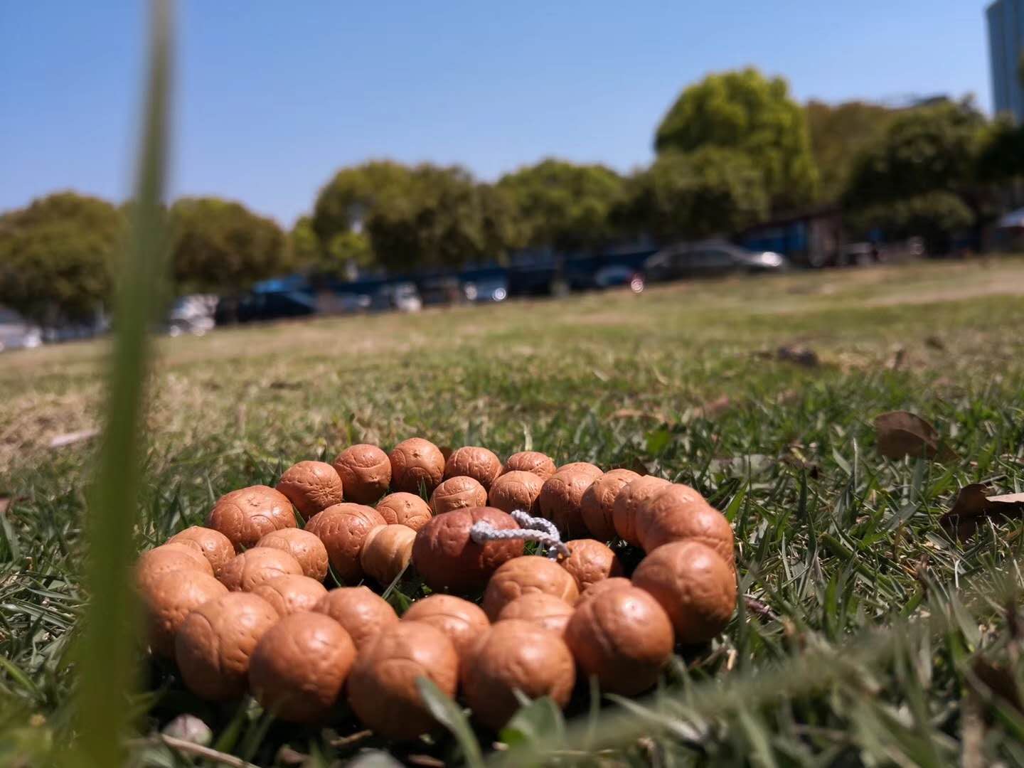 凤眼菩提麒麟眼怎么盘,麒麟龙眼凤眼菩提