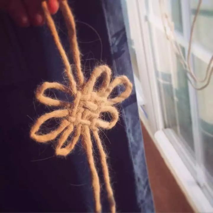 养猫铲屎官注意事项,铲屎官爱猫的三种境界