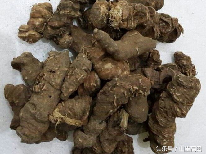 这种植物不但有毒还会杀精子