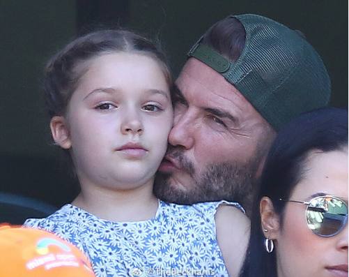 贝克汉姆带小七看走秀,贝克汉姆带小七看热火