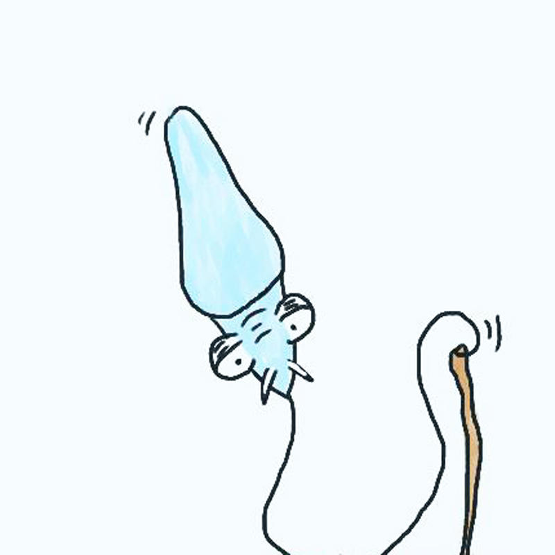 疑惑？没有遇到卵子的精子都去哪里了