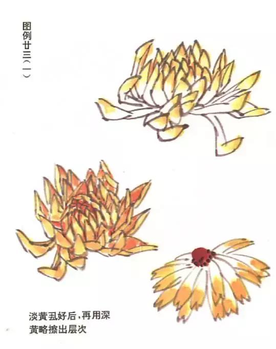 国画基础画菊花该如何构图才好看,国画菊花怎么画简单画法