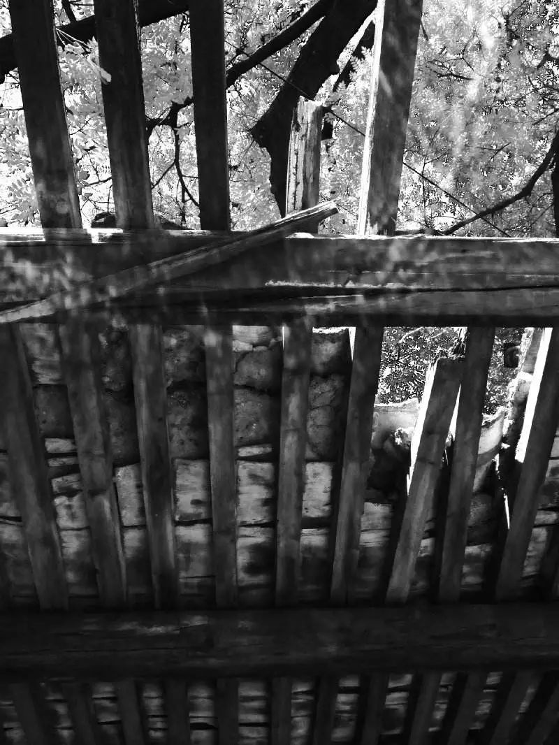 浜哄績鍙垫祴楝艰瘽杩炵瘒,浜哄績鍙垫祴姹熸箹闄╂伓