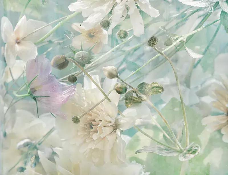 中赫国际最昂贵的课程：如何练就你的审美！