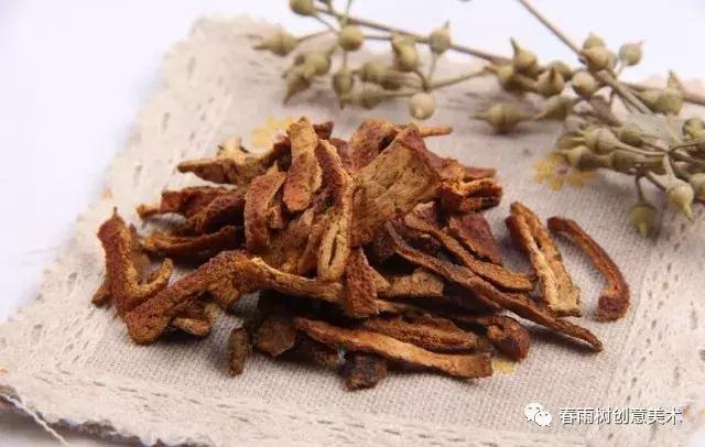 课堂笔记——和孩子一起绘玩水果