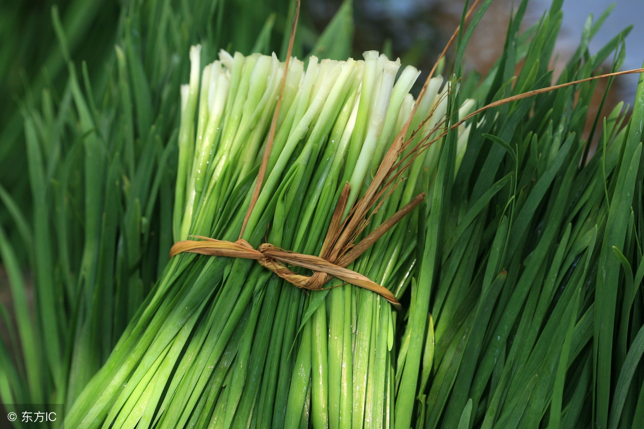 韭菜根有补肾壮阳的药效吗,韭菜有补肾壮阳的药效吗