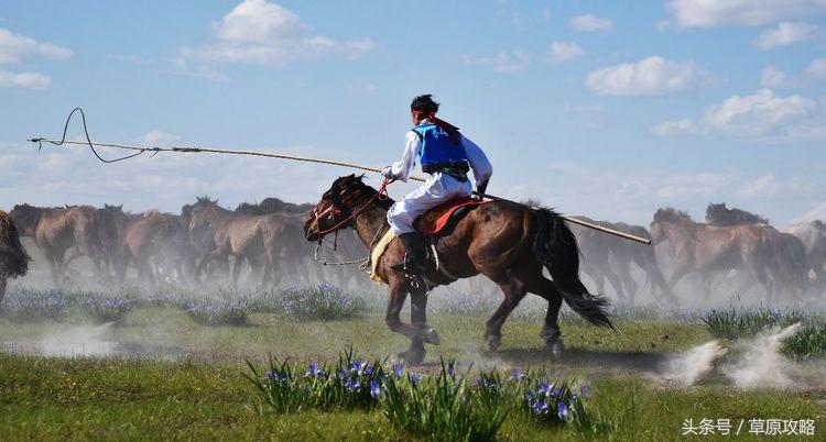 马之舞巴尔虎,玛之舞巴尔虎最新