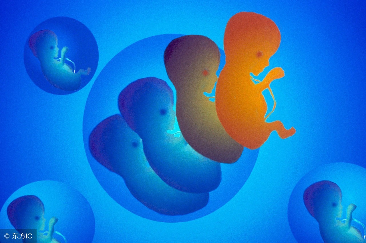 老公去世妻子想用冷冻胚胎生子,妻子分娩去世丈夫欲取回冷冻胚胎