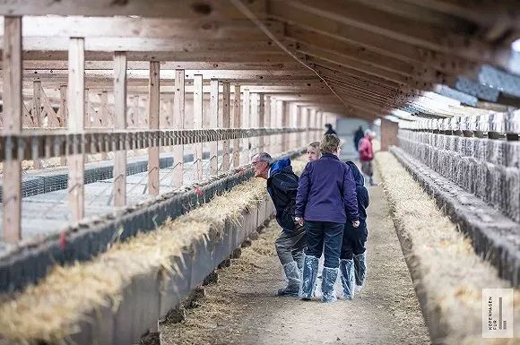 中美贸易纺织品受影响吗,中美贸易战会引发工厂破产吗