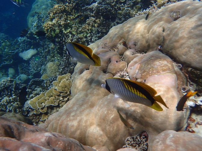 离开喧嚣的城市去野外生活三年,逃离都市喧嚣回归心灵栖居地