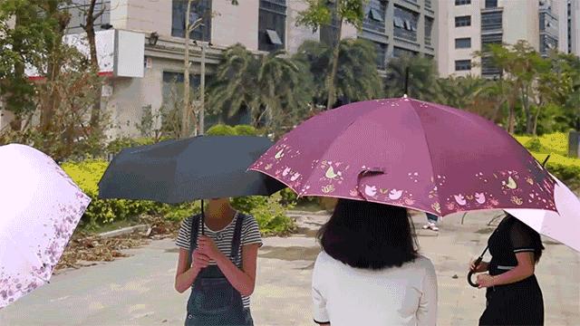 你见过会跳舞的雨伞吗？这把伞给我们太多惊喜！