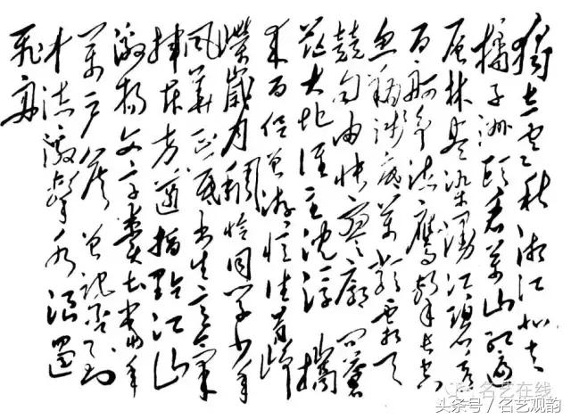 毛*东泽**书法的特点及作品欣赏