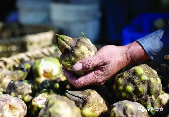 大米种类有粳米籼米,盒马鲜生大米种类