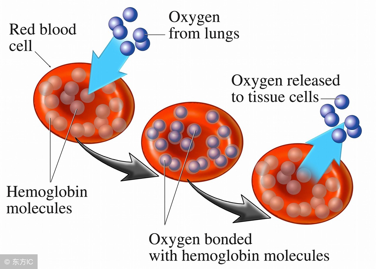 孩子溺水最新新闻,溺水孩子救援视频