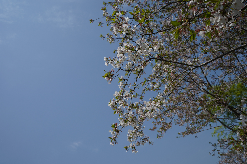 一个佳能*党**眼中的索尼A7M3,ILCE-7M3，索尼新款相机入手小评