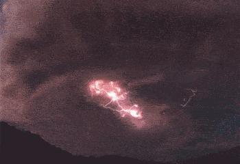 被奉为神明合集,bbc神级纪录片life第02集