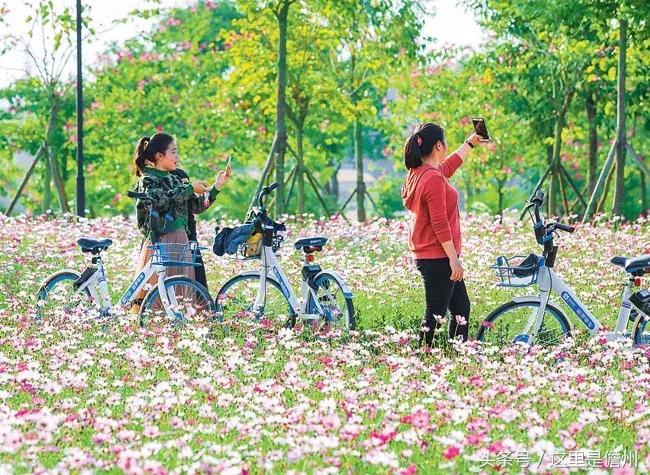 海南省各市县经济发展排名最新,海南真的厉害了吗