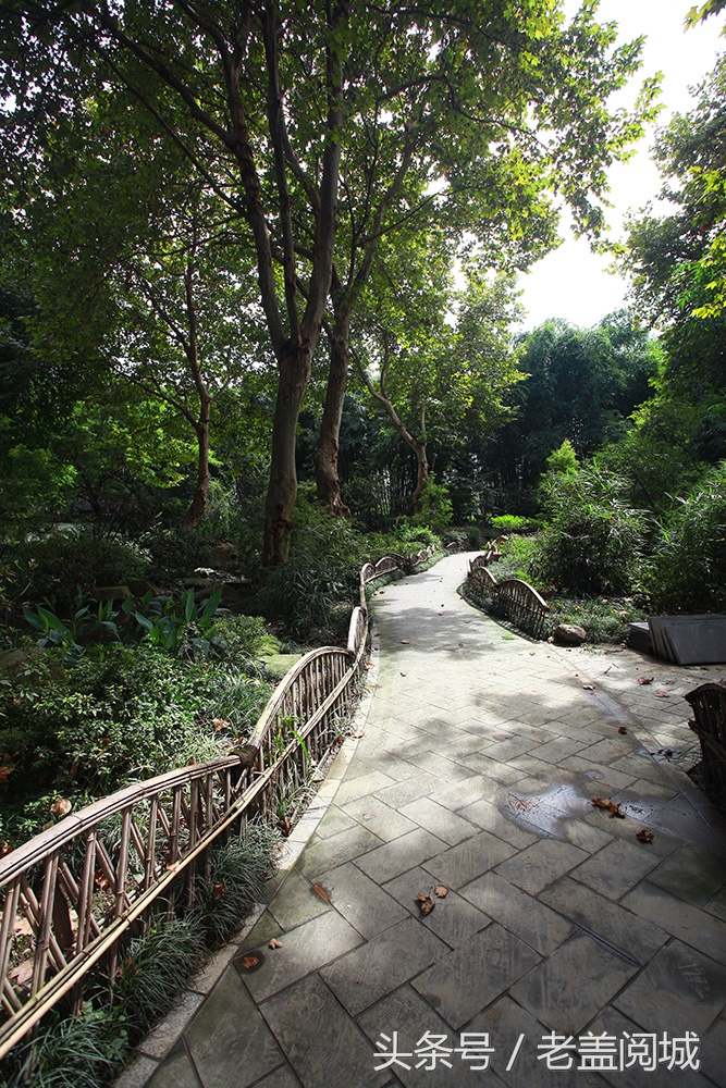 被成都遗忘的地方,成都九眼桥望江楼公园