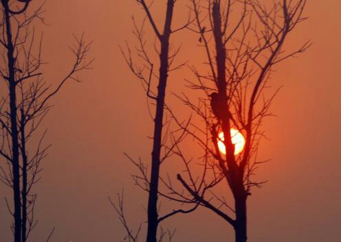 马蹄韵平仄图解,马蹄韵对联基本规则