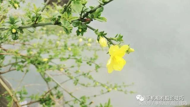 读者投稿点评，这些照片该如何改进？