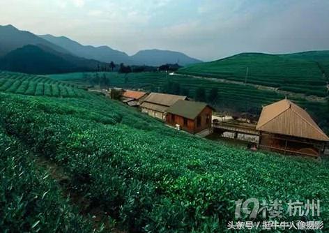 杭州哪里拍婚纱照最美,浙江最浪漫的婚纱拍摄地