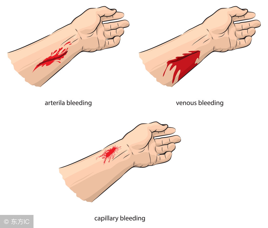 止血药药材,止血药分类及代表药物