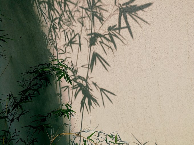 九溪虽小你却没用心体验过，别有一方风味