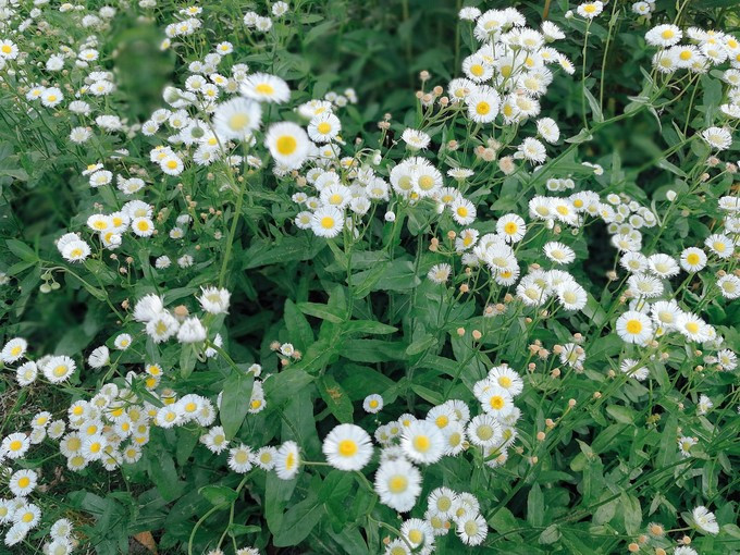 涔濇邯鐙竴鏃犱簩,涔濇邯娓哥帺鎰熸偀