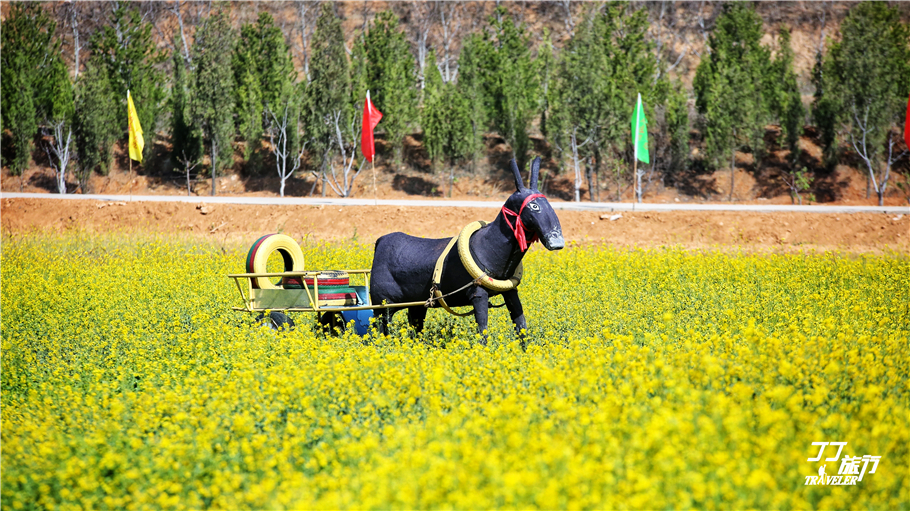皇城相府和相府庄园是一回事吗,皇城相府到相府庄园多远