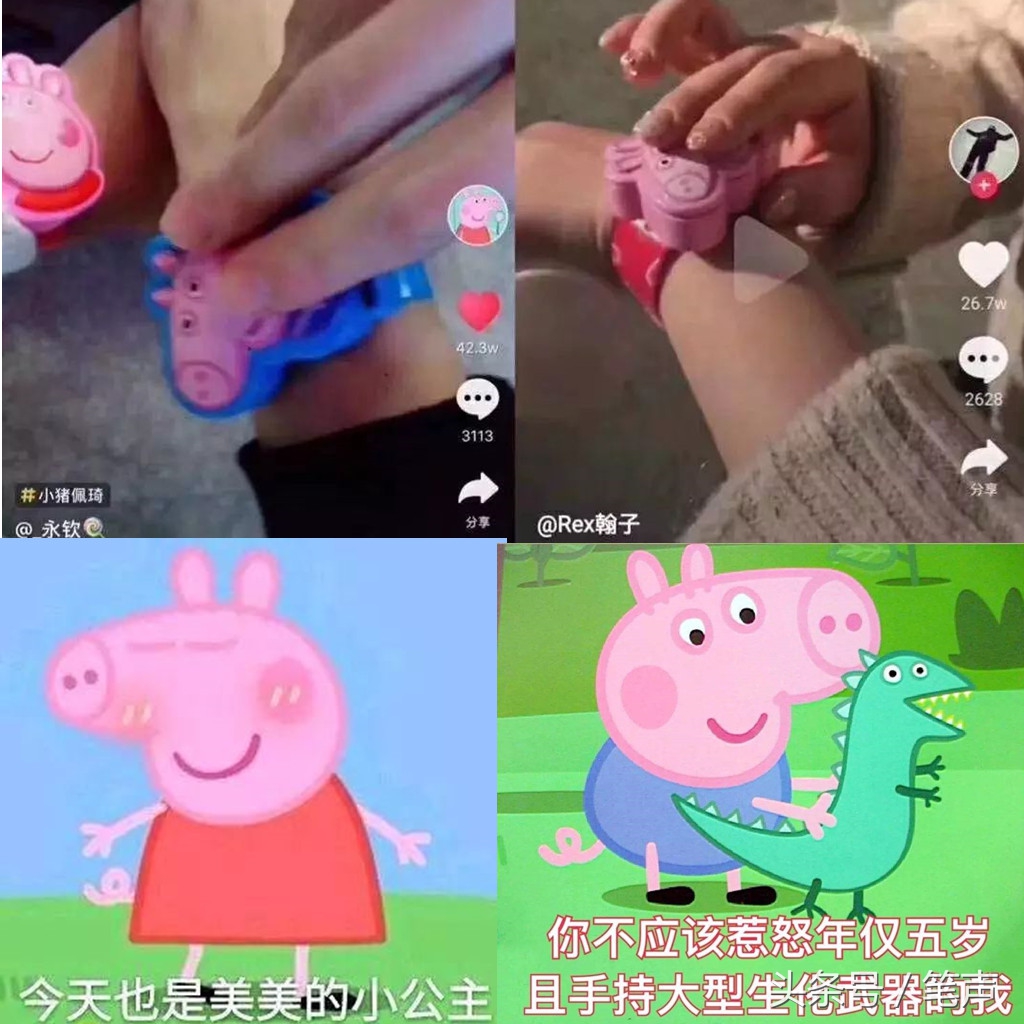 抖音小猪佩奇的视频,小猪佩奇不让人知道的秘密