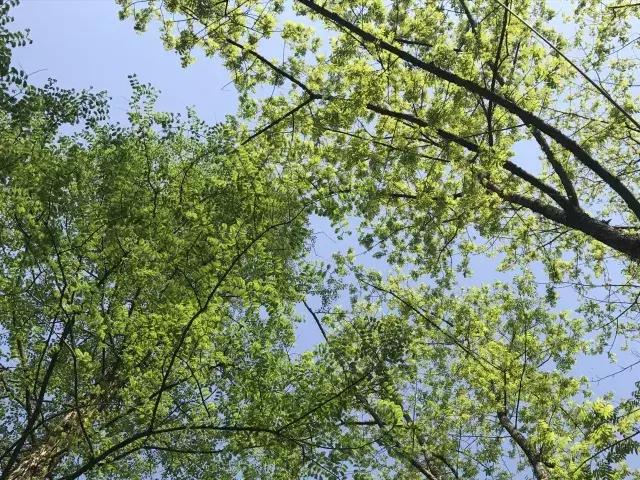 飞两千多公里,得到一座奇幻山林,一个温暖的家,一群有趣的人