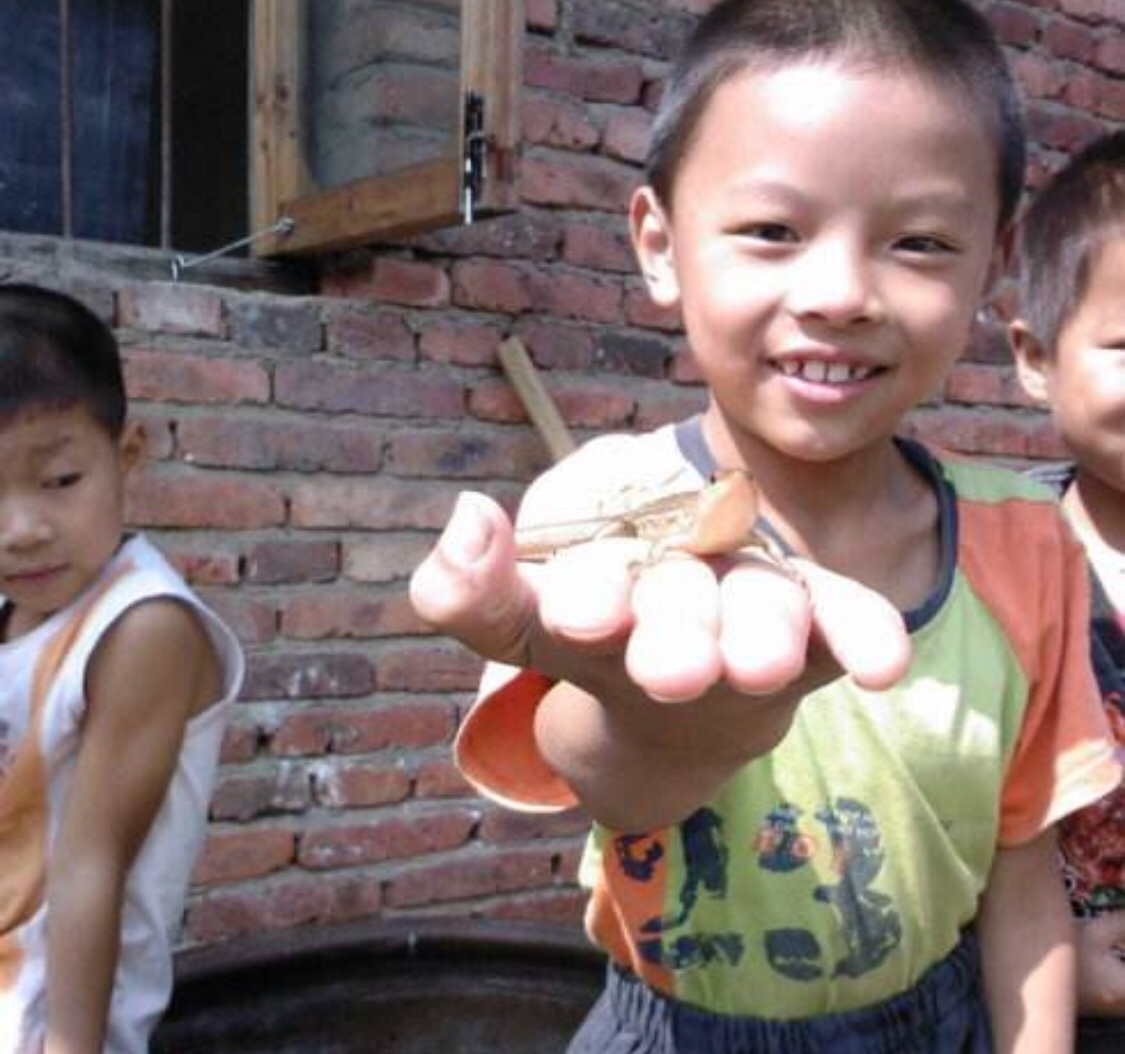 老虎尾巴断了可以再生吗,小壁虎尾巴为什么断了能再生