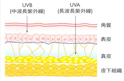 用了vc护肤品是不是不能见光,晚上涂了vc还需要抹其他护肤品吗