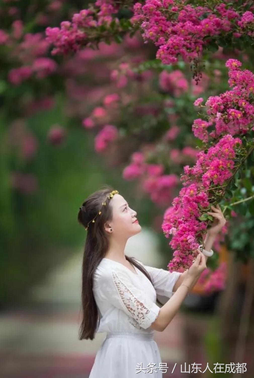 要火！去年刷爆朋友圈的温江紫薇园，今年要修长廊、观景台！