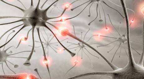 羊癫疯会引起死亡吗,突发羊癫疯会死亡吗