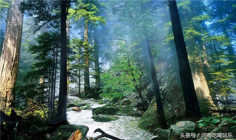 所谓的5a景区其实就是一座山,两座山并立的景区