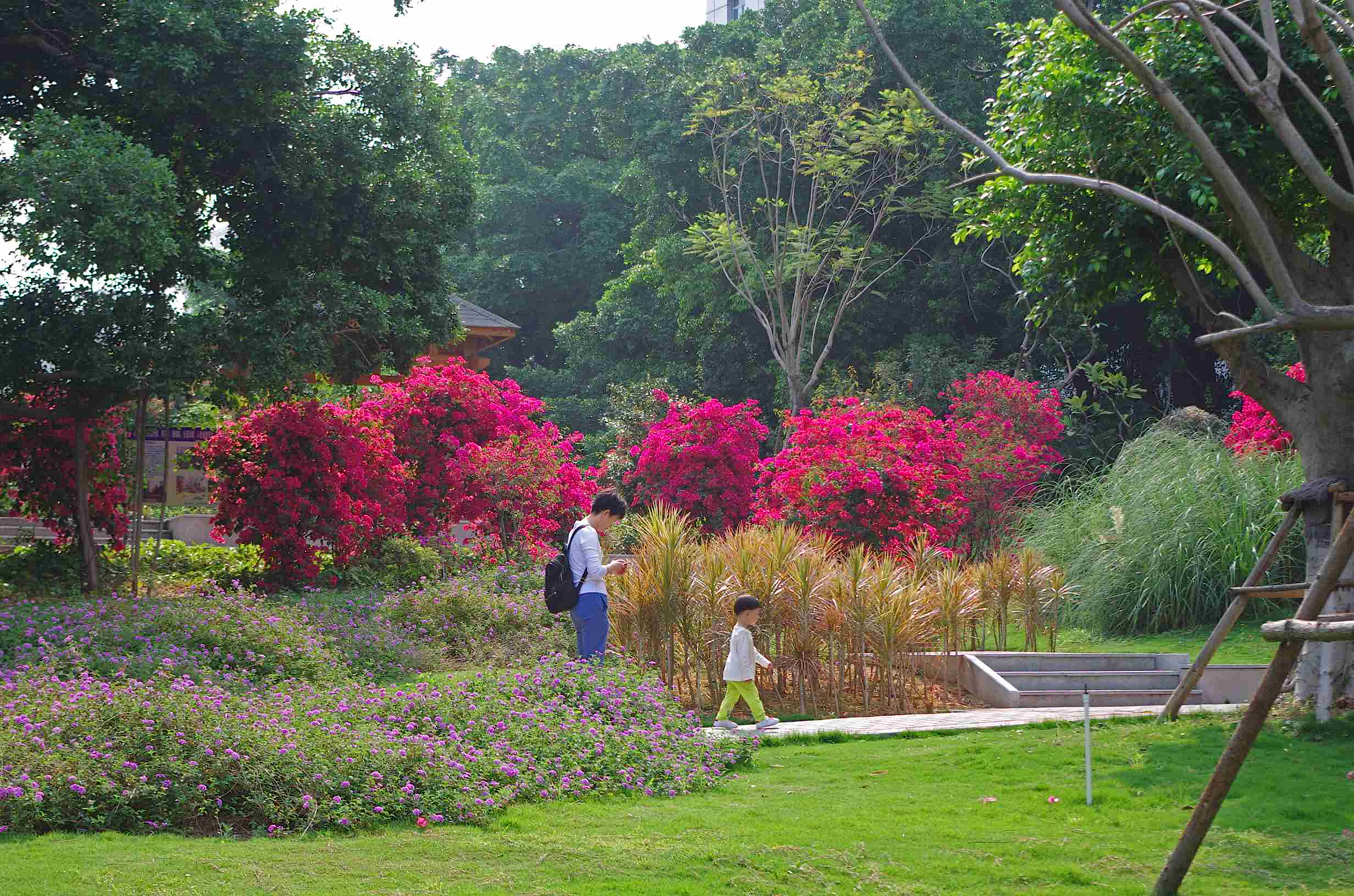 宾得k30图片,宾得k30样片