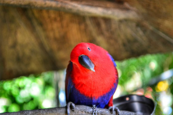 爱旅行爱生活之海南三亚蜈支洲,爱旅行游记攻略