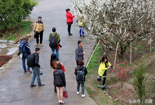 去乡下调研会遇到哪些问题,去农村旅游的注意事项