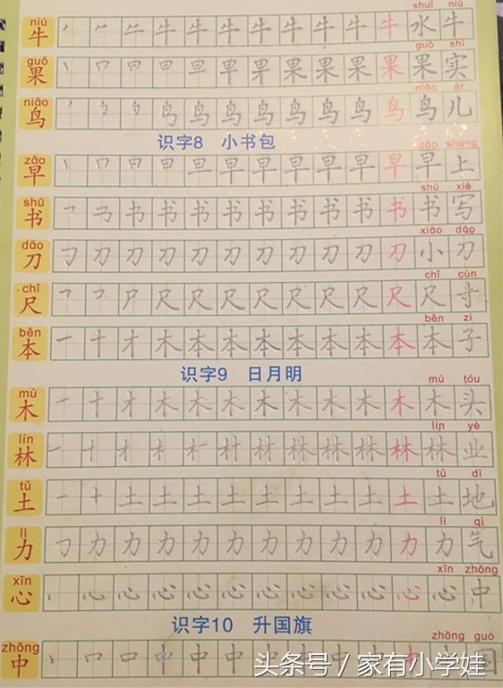 一年级小公鸡和小鸭子生字笔顺,一年级必认字100个含笔顺