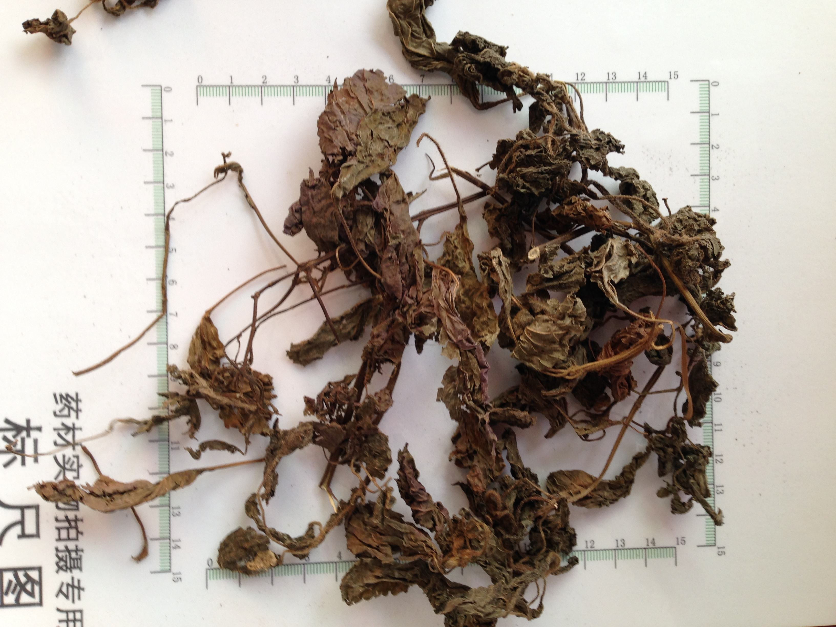 刘渡舟讲啥版本伤寒论,刘渡舟讲伤寒论