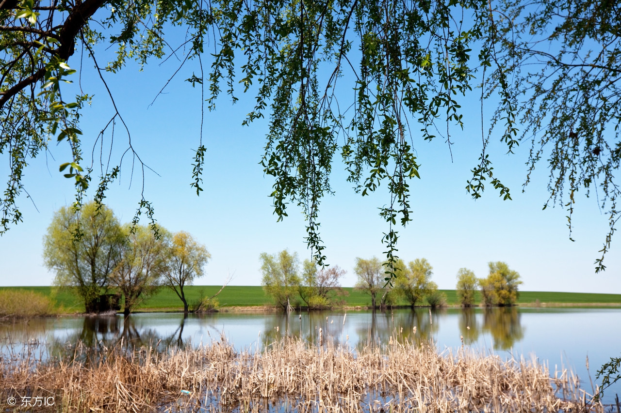 小学生必背成语500个及造句,小学语文必背成语及解析