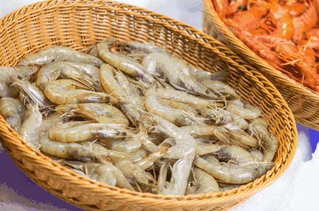 天津高端自助海鲜价位,天津顶级自助海鲜