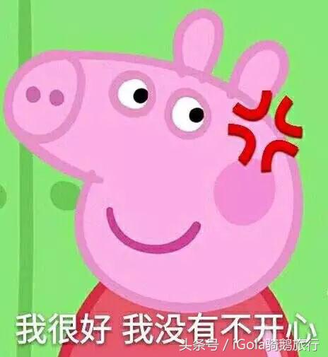 旅游必带的手信,旅游必买的手信