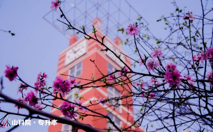 学子眼中的山科院系列篇（1）关于校园，他们这样说...