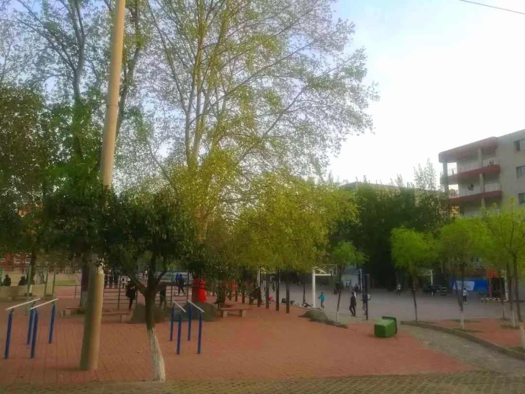 学子眼中的山科院系列篇（1）关于校园，他们这样说...