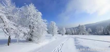 间质性肺病的药物诊治流程,间质性肺病综述